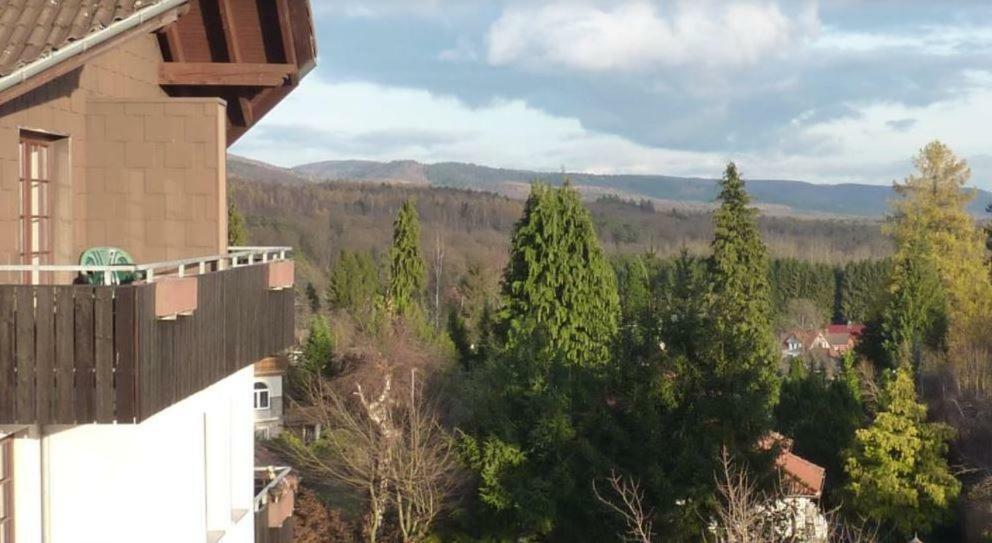 Jagdschloesschen-harz Apartment Bad Sachsa